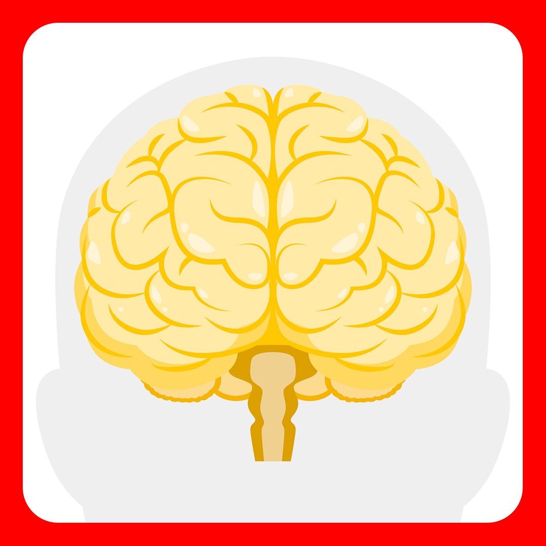 از زبان تصویر